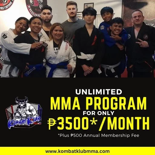 mma program 512 x 512